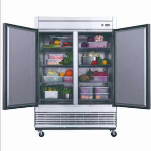 D55R 2-Door Commercial Refrigerator in Stainless Steel